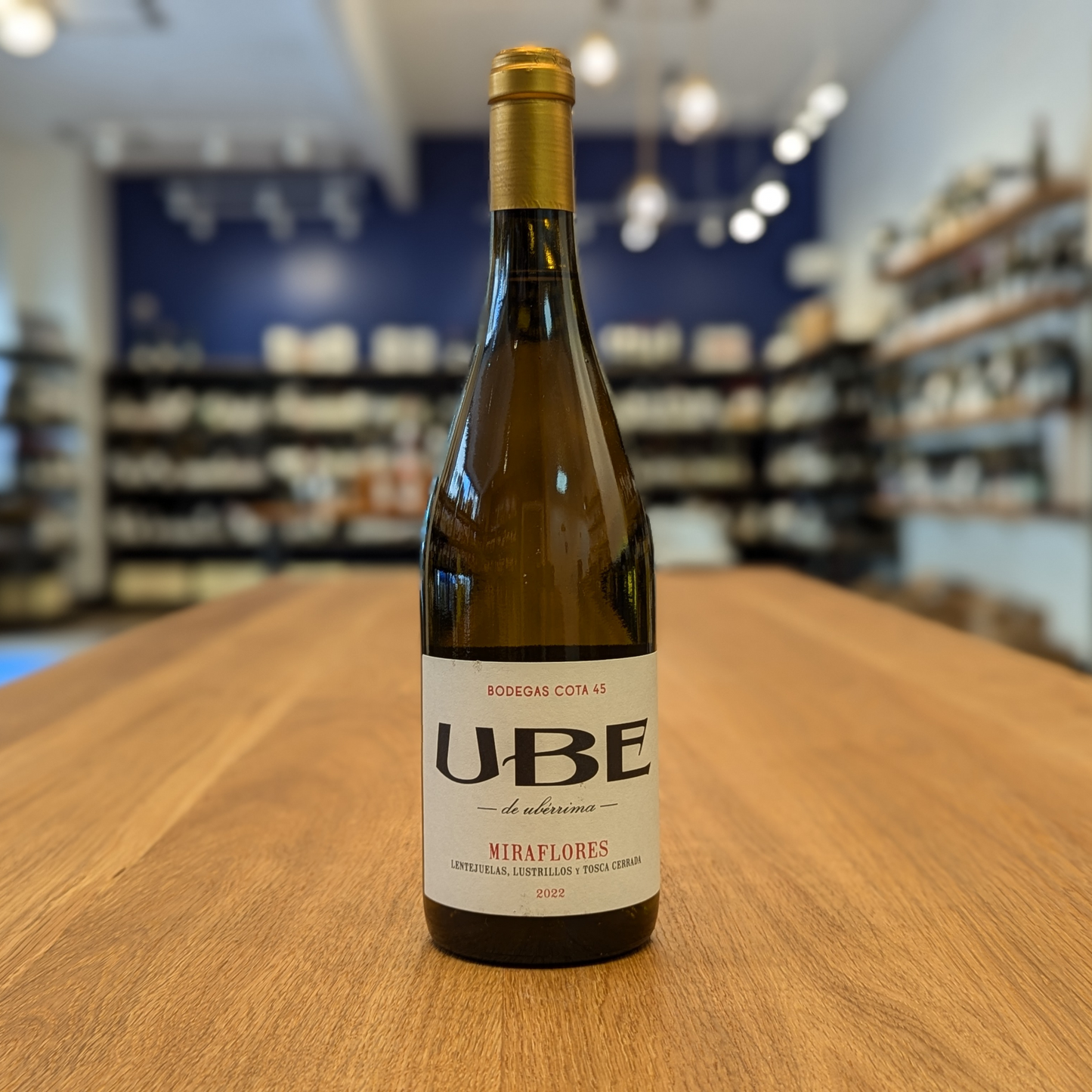 Ramiro Ibanez 'UBE Miraflores' 2024